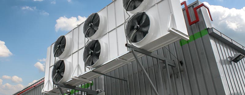 מיזוג-אוויר-דני-אגוז